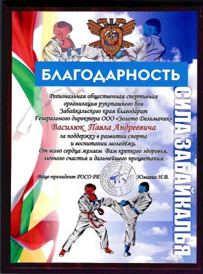 Благодарность по рукопашному бою_page-0001